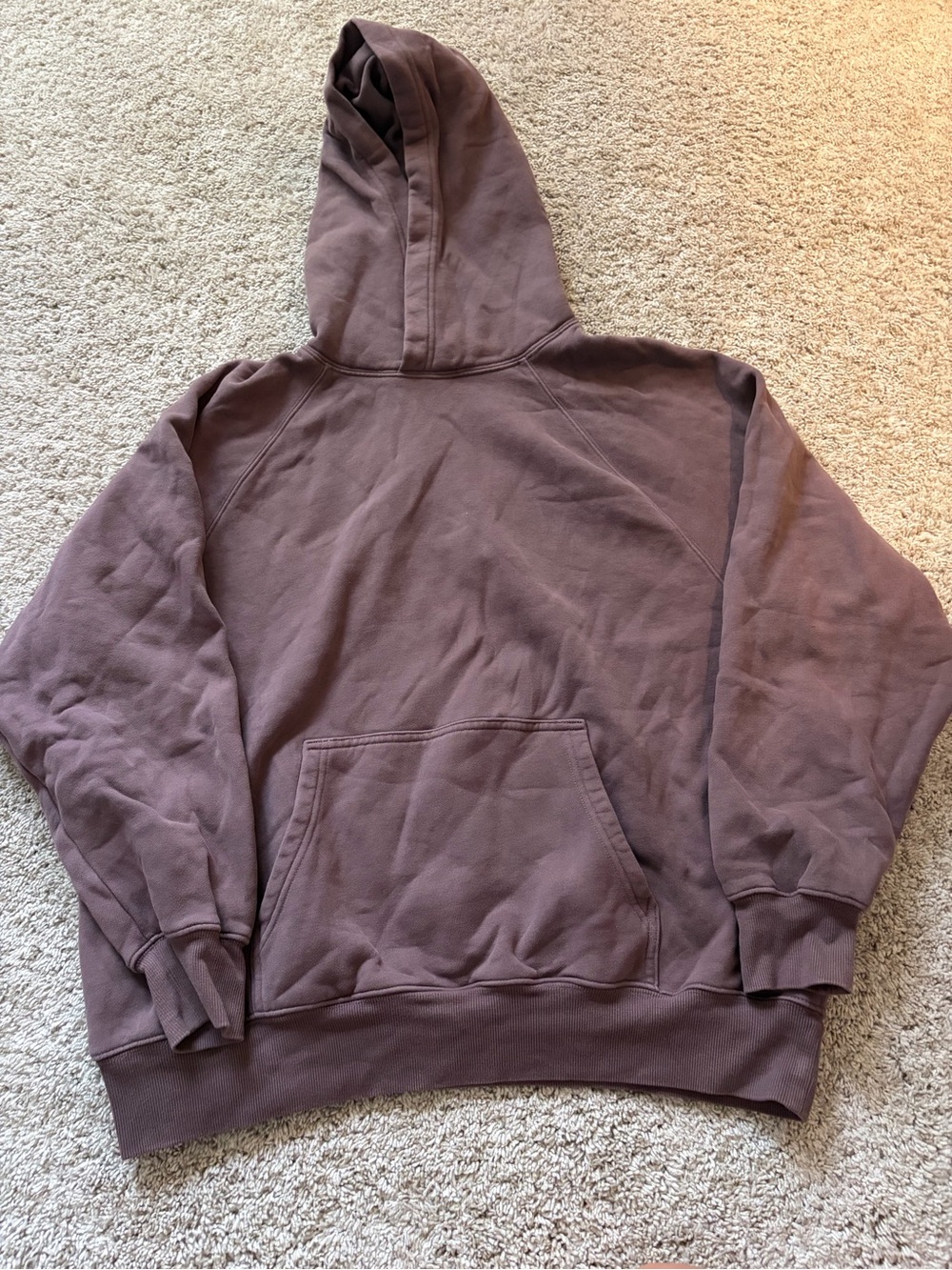 Aritzia Brown Hooded Sweatshirt